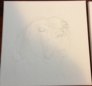 Painting-Pet-Portraits_Sketch-Dog_Ralph